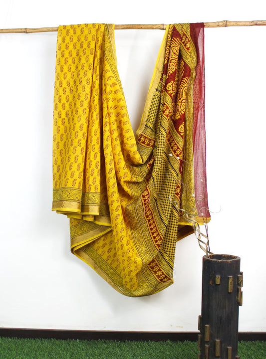Cotton Silk Bagh Print Sari