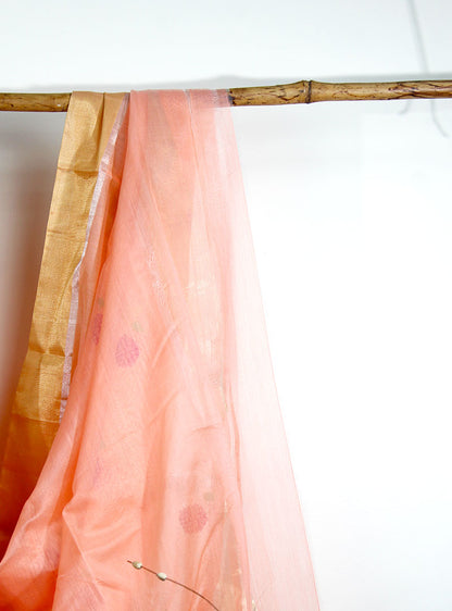 Cotton Silk Chanderi Sari